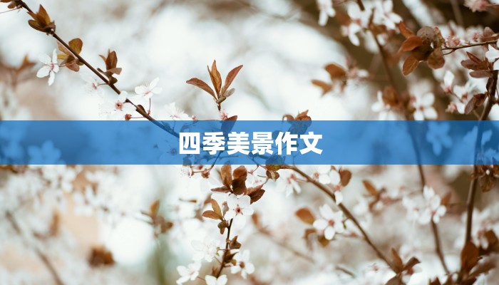 四季美景作文