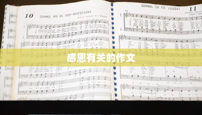 感恩有关的作文