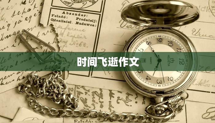 时间飞逝作文