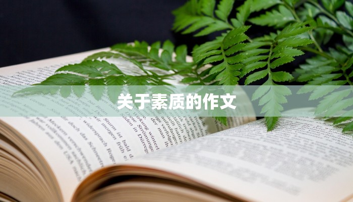关于素质的作文