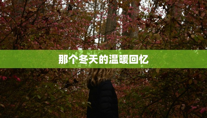 那个冬天的温暖回忆