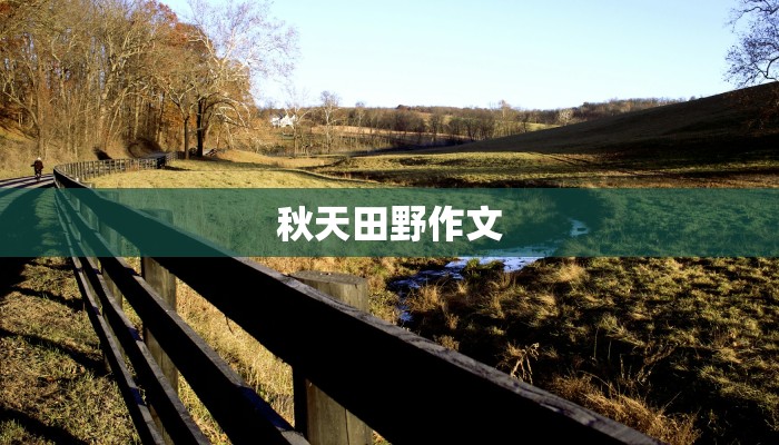 秋天田野作文