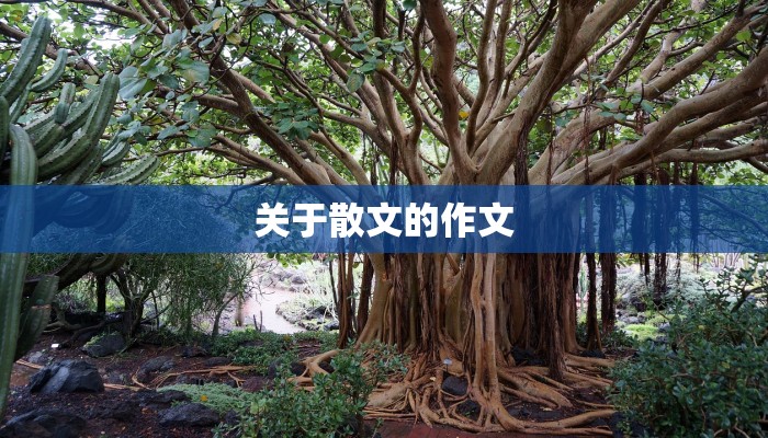 关于散文的作文