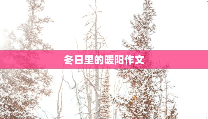 冬日里的暖阳作文