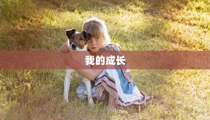 我的成长