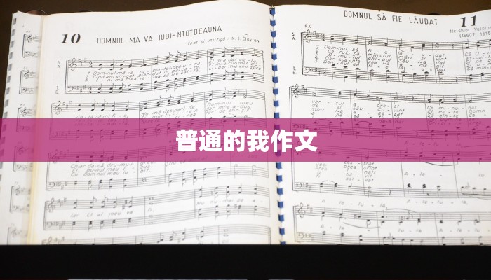 普通的我作文
