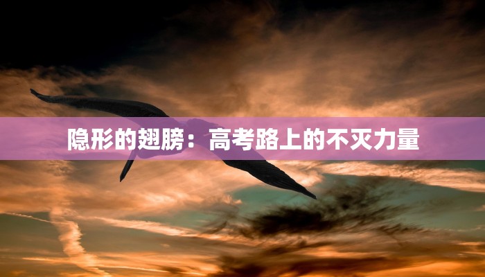 隐形的翅膀:高考路上的不灭力量