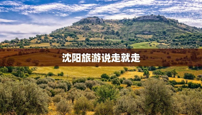 沈阳旅游说走就走